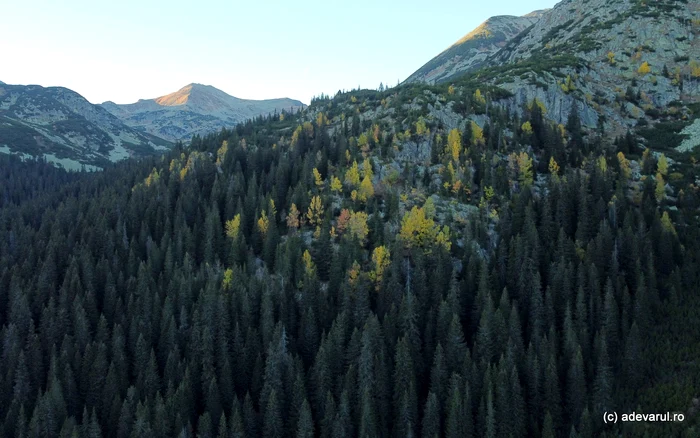 Retezat. Foto: Daniel Guță. ADEVĂRUL