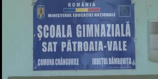 invatatoare gaesti