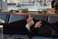 csmb aeroport 03 jpg