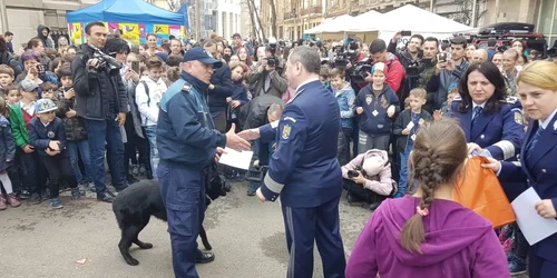 caine de politie. foto ipj mm