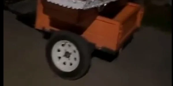 barbat ucis Vaslui FOTO captura video Tik Tok jpg