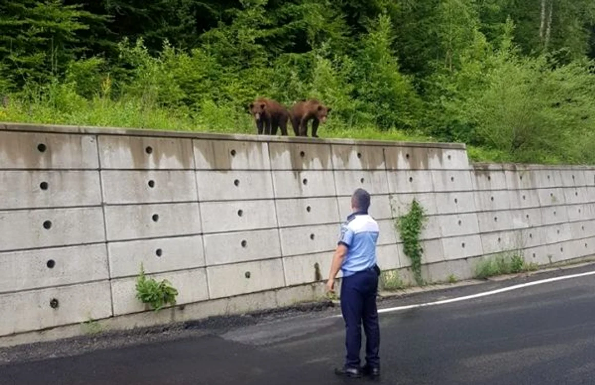 Poliţistul şi cei doi ursuleţi FOTO: Facebook Poliţia Română
