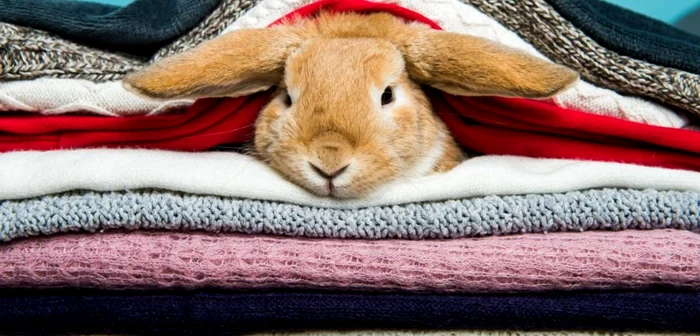 Vreme extremă în următoarele zile FOTO Shutterstock