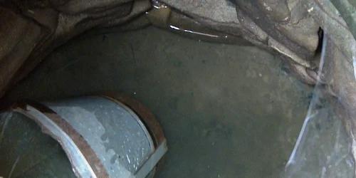 Fantani secate la Visinesti