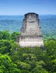 Civilizaţia Maya a avut un impact major asupra mediului jpeg