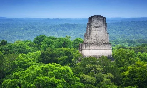 Civilizaţia Maya a avut un impact major asupra mediului jpeg