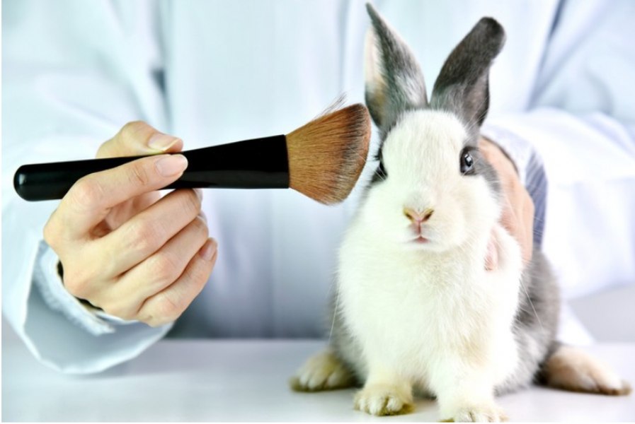 Canada a interzis prin lege testarea produselor cosmetice pe animale. Ce alte țări au mai adoptat măsura