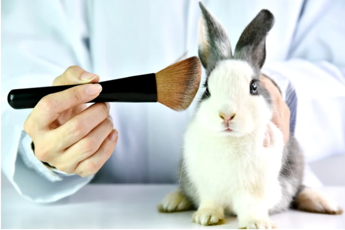teste pe animale