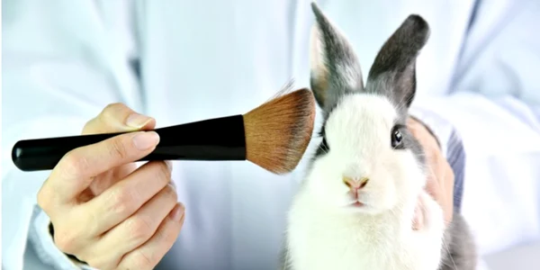 teste pe animale