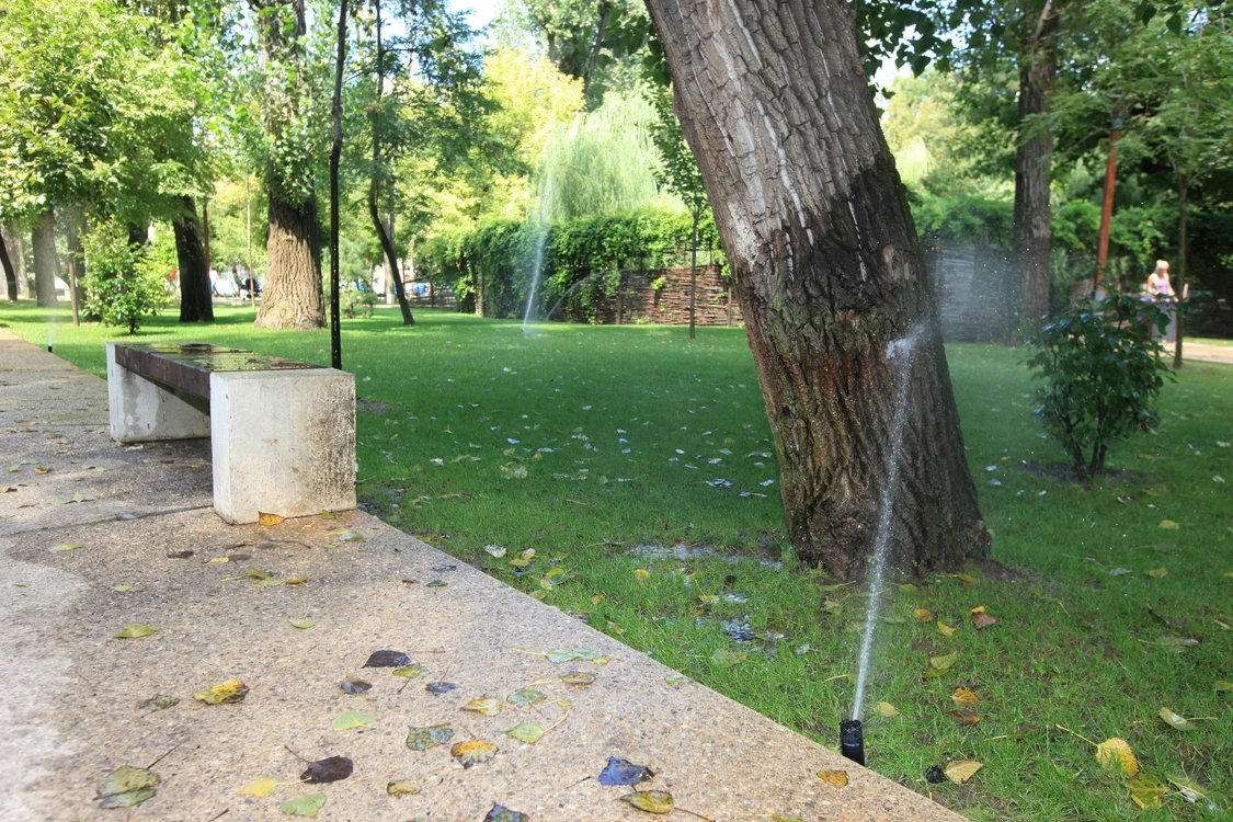 Duminică