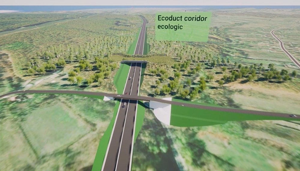 Se scoate la licitație și ultimul lot al drumului de mare viteză Craiova - Târgu Jiu. Un viaduct de 644 metri, pe lotul Târgu Cărbunești-Târgu Jiu