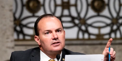 Mike Lee 2 jpg