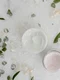 Top 5 plante medicinale folosite i╠én cremele hidratante jpeg jpg