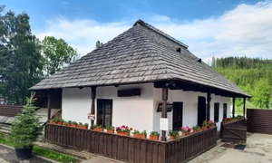 Casa din Bucovina jpg