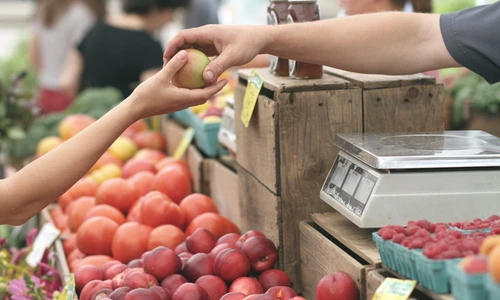 1 pexels photo 95425 jpg jpeg