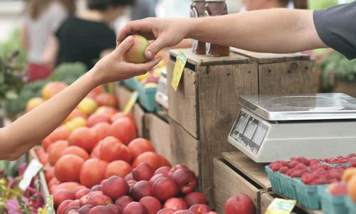 1 pexels photo 95425 jpg jpeg