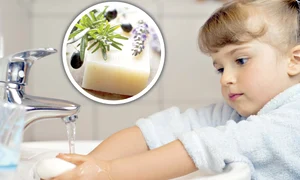 CLIIMA20120610 0033 1 jpeg