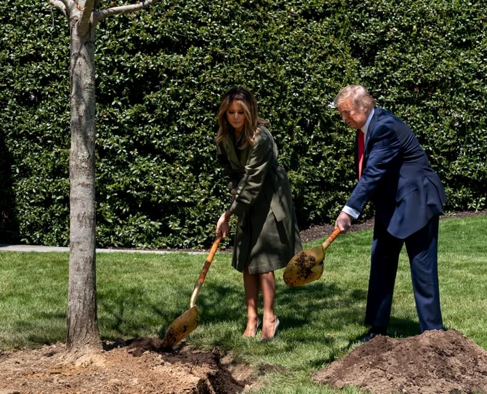 9 melania trump donald trump plantand copac in ziua pamantului casa alba 1 jpg jpeg