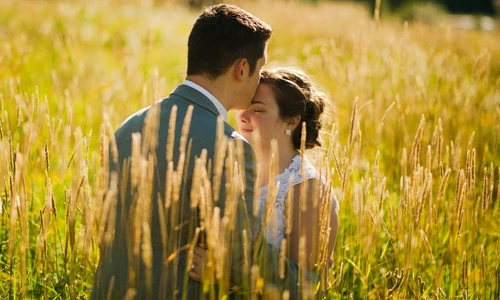 2 goldenrod 1809193 1920 jpg jpeg