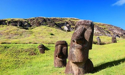 1 insula pastelui jpg jpeg