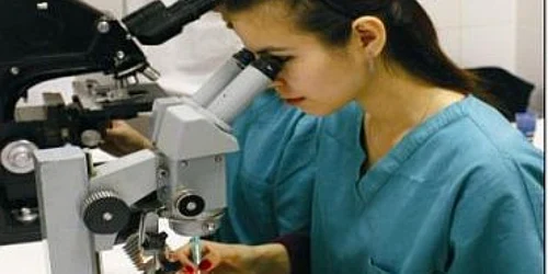 În 2008 România a cheltuit 2,98 miliarde de lei pentru activitatea de cercetare-dezvoltare