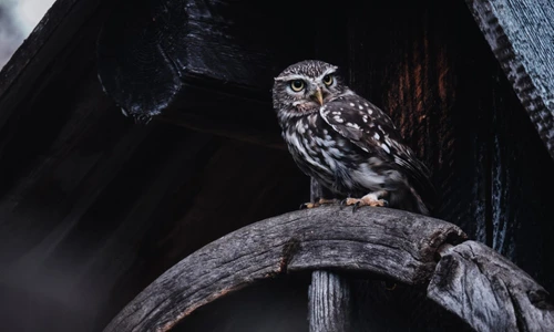 1 shutterstock 1621070206 jpg jpeg