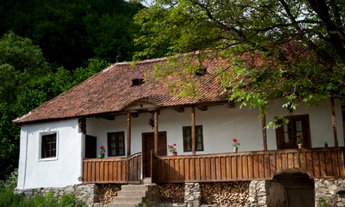 481238794 110322103119 lrg jpeg