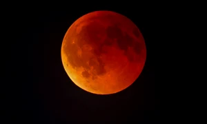 „Luna Sângerie” în Germania FOTO Profimedia