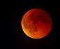 „Luna Sângerie” în Germania FOTO Profimedia