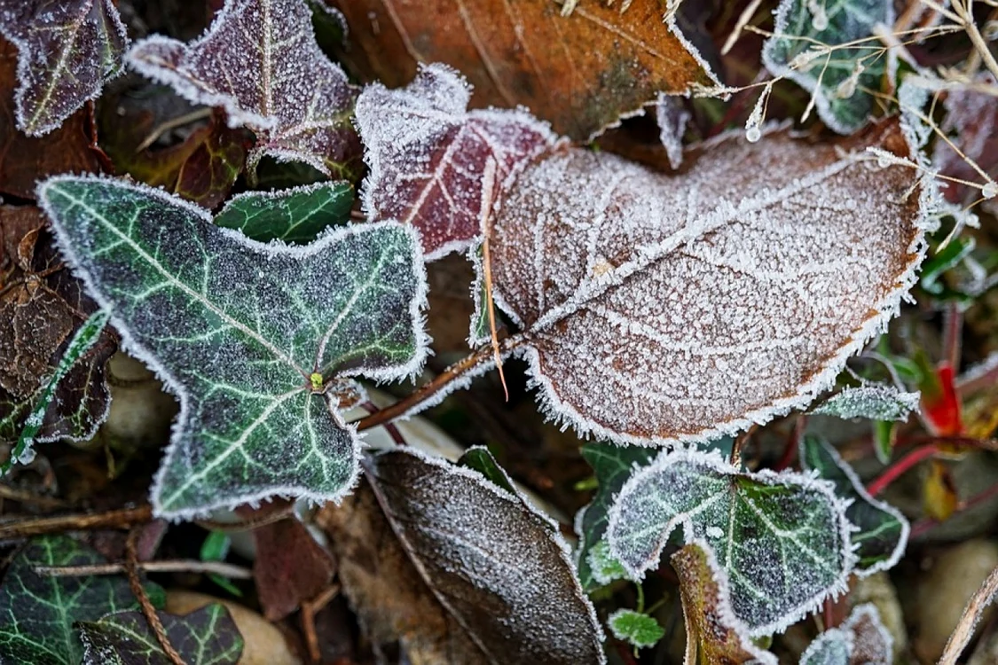 Val de aer polar în România FOTO pixabay