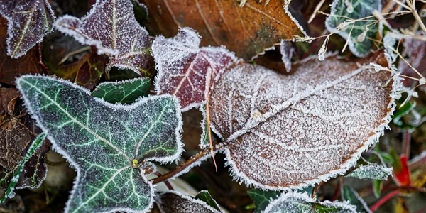 meteo  frig foto pixabay