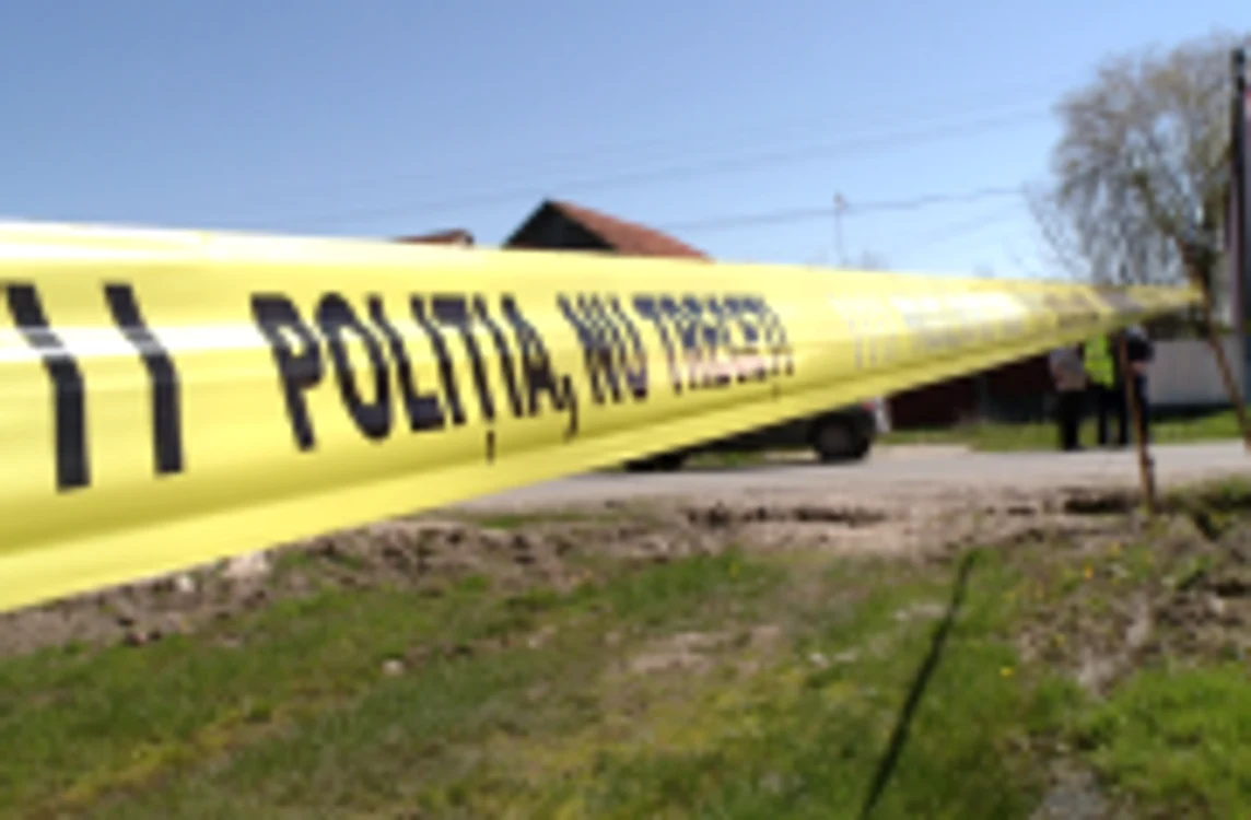 Doi fraţi din comuna doljeană Argetoaia au murit sub privirile părinţilor