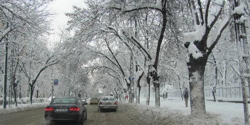 Timişoara încă suferă din cauza ninsori
