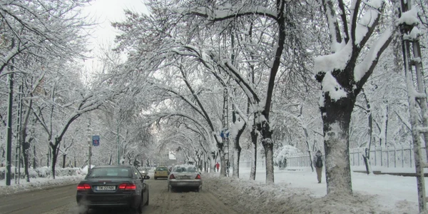 Timişoara încă suferă din cauza ninsori
