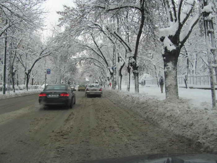 În Ialomiţa revin ninsorile FOTO: adevarul.ro