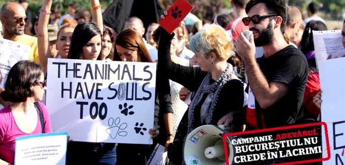 Sute de iubitori de animale au protestat în Parcul Izvor din Capitală. FOTO Mediafax