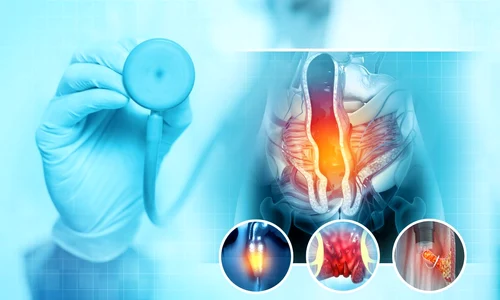 shutterstock 2241155975 jpg