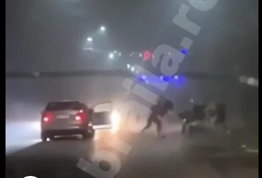 Un tată, fetița sa de trei ani și sora bărbatului, atacați pe o stradă din județul Brăila în timp ce se aflau în mașină