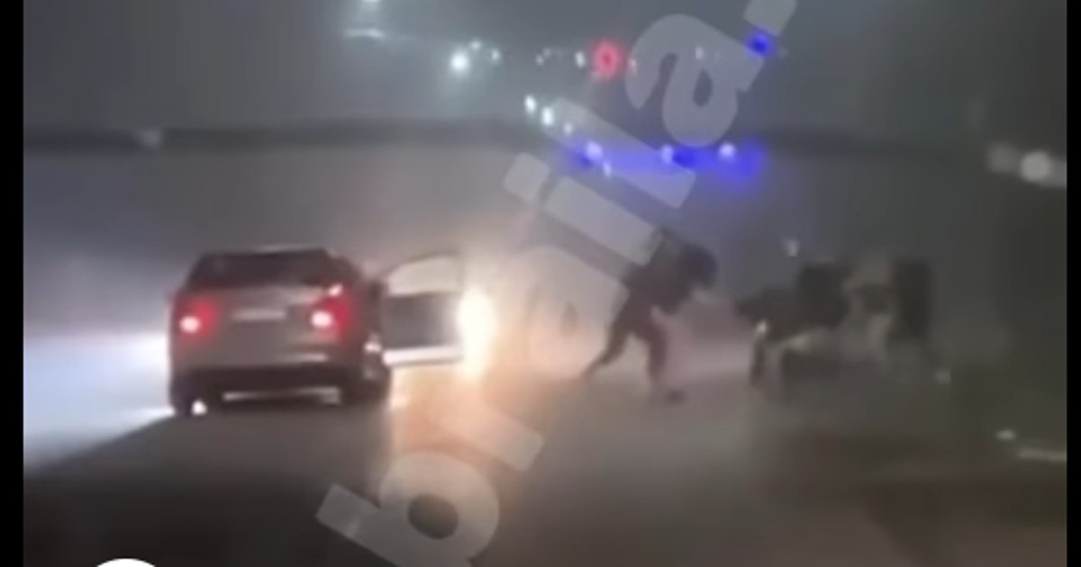 Tată, fetița de trei ani și mătușa atacate într-o mașină pe o stradă din Brăila