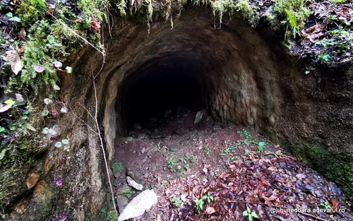Valea Retisoarei Foto Daniel Guță ADEVĂRUL (12) jpg