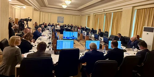 vot buget 2025 comisii reunite sanatate   foto fb alexandru rogobete jpg