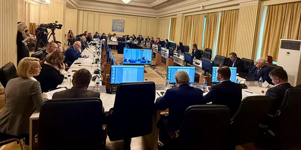 vot buget 2025 comisii reunite sanatate   foto fb alexandru rogobete jpg