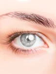 ochi   shutterstock 1678653262 jpg