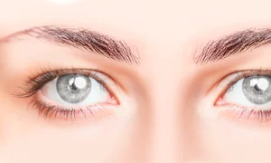 ochi shutterstock 1678653262 jpg