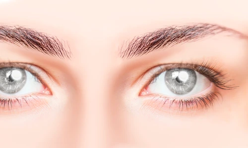 ochi   shutterstock 1678653262 jpg