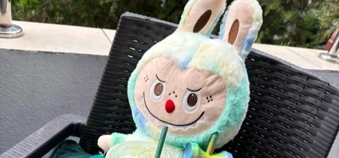 Păpușile Labubu suntla mare căutare foto: Arhivă personală 