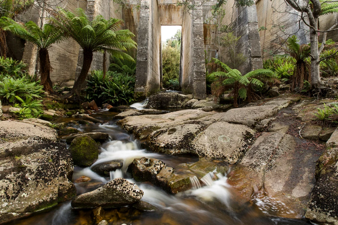 Insula australiană Tasmania este cunoscută pentru peisajele sale spectaculoase FOTO Shutterstock 