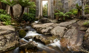 Barajul Mount Paris este un baraj dezafectat, situat în apropiere de Weldborough, în nordul Tasmaniei FOTO Shutterstock