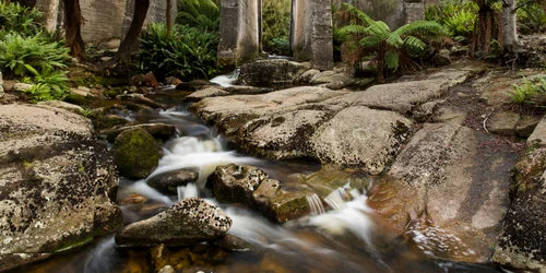 Barajul Mount Paris este un baraj dezafectat, situat în apropiere de Weldborough, în nordul Tasmaniei FOTO Shutterstock