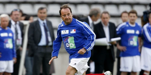 hollande minge